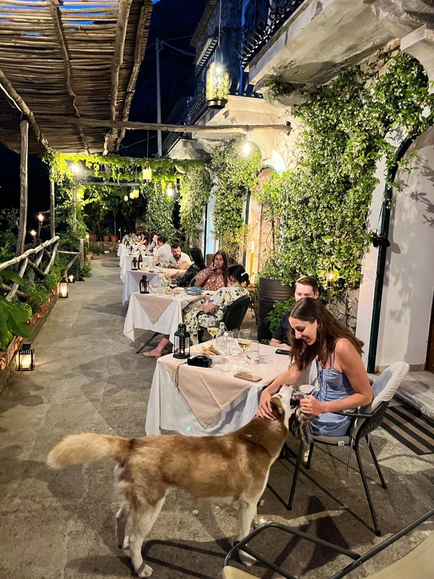 Colle Dell'Ara Bed & Breakfast Positano Exterior photo