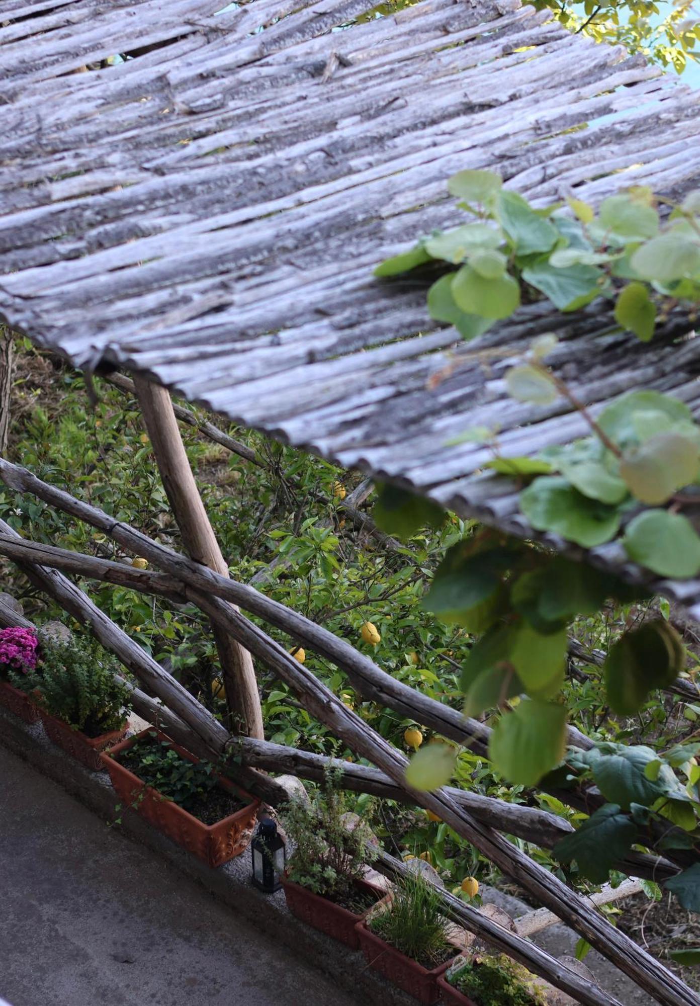 Colle Dell'Ara Bed & Breakfast Positano Exterior photo